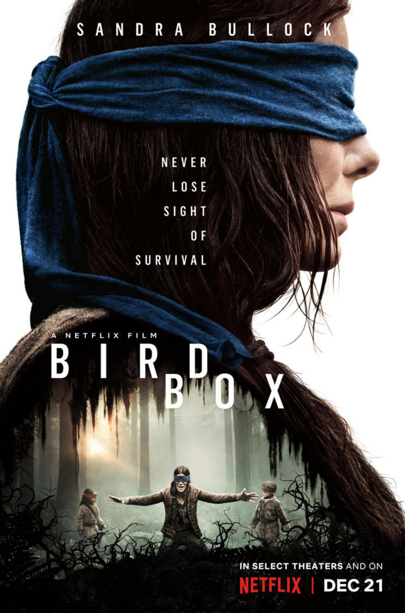 Birdbox image