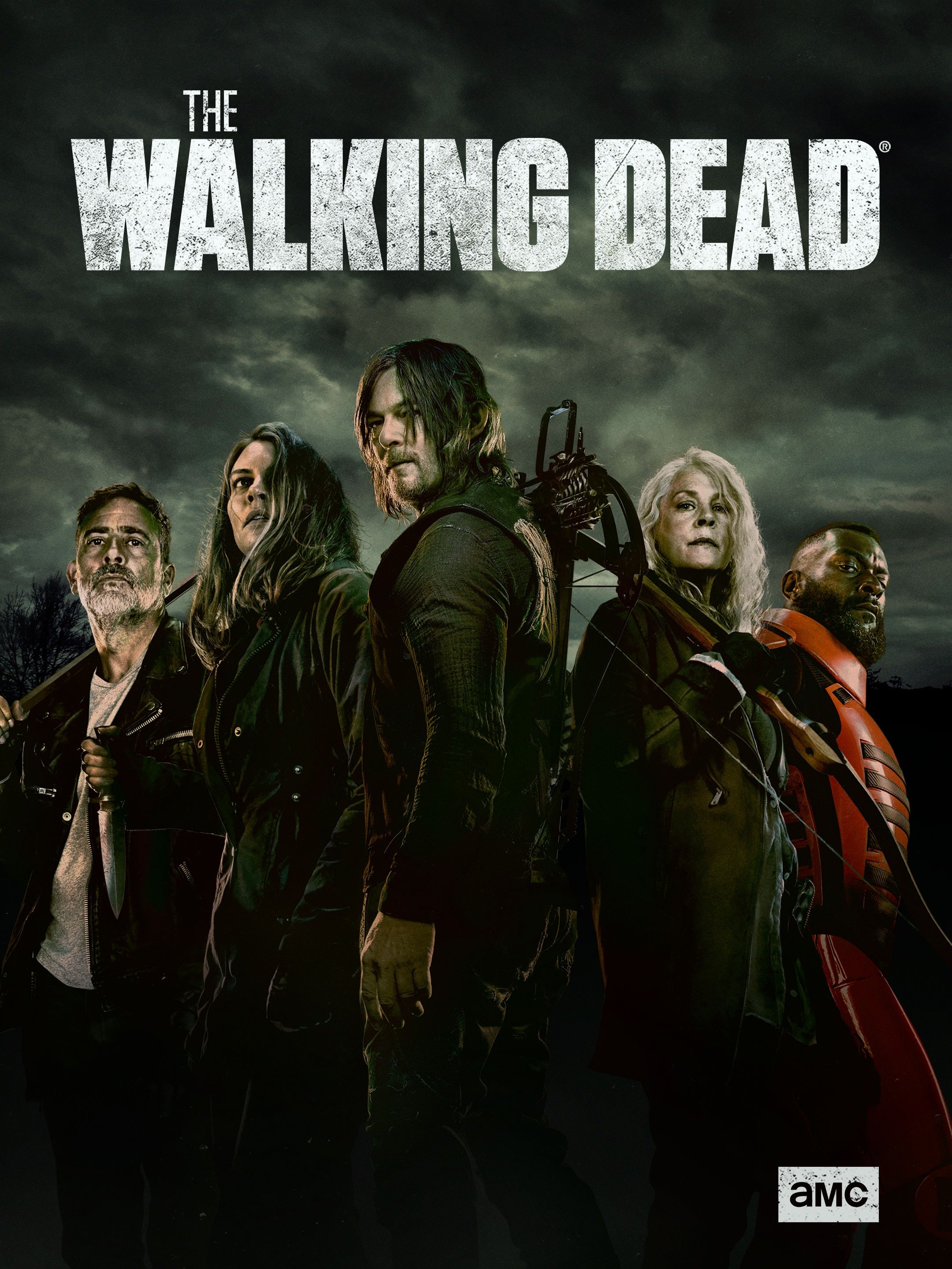 The Walking Dead image